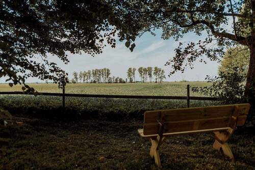 Blick über die Felder - 