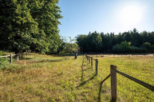 in dieses Idyll - 