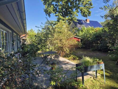 Außenansicht Garten - 