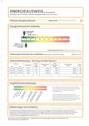 Energieausweis - 