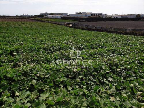 Ansicht - * 15.867 m² Grundstück auf Lanzarote - Bauland, Bauerwartungsland & Ackerfläche in attraktiver Lage *