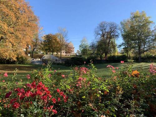 Parkanlage im Wohnumfeld - 