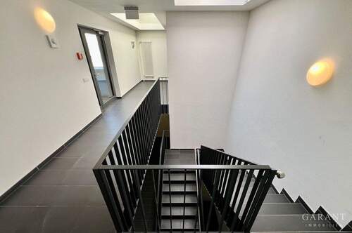 Hausflur Aufgang DG - 