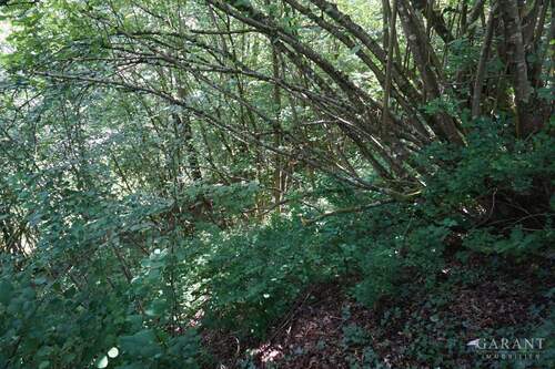 Bauplatz 2 - Grundstück in Alpirsbach zum Kaufen