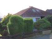 IMG_0544.JPG - 4 Zimmer Bungalow zum Kaufen in Dormagen