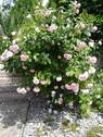 Garten 1 - 