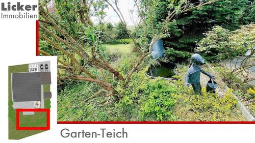Garten-Teich - 