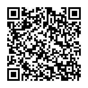QR-Code - 