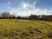 Weide - 