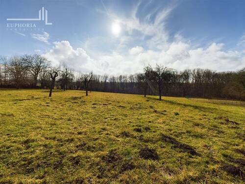Weide - 