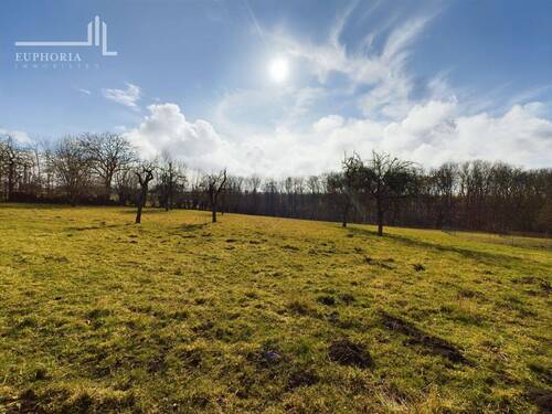 Weide - 
