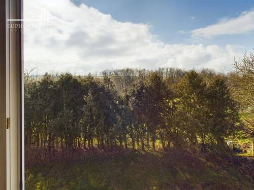 Blick in Garten - 
