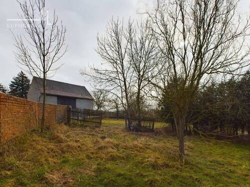 Gartenblick - 