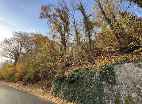 Grundstück - Grundstück in Eppstein zum Kaufen