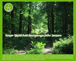 Waldruhe 1 Minute entfernt - 