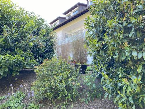 Blick zur Terrasse (I).jpg - 