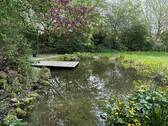 Gartenteich - 