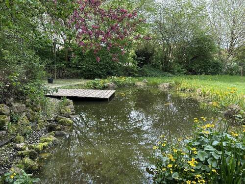 Gartenteich - 