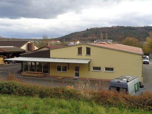 Ansicht von der Straße - Hasloch: vielseitig nutzbare Gewerbehalle mit 1.171m² zu verkaufen