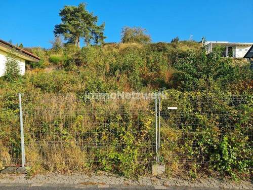 Front - Grundstück zum Kaufen in Kreuzau / Bilstein