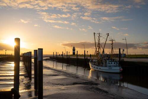 Wremer Hafen am Abend - 