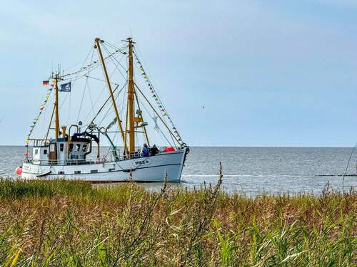 Krabbenkutter am Strand - 