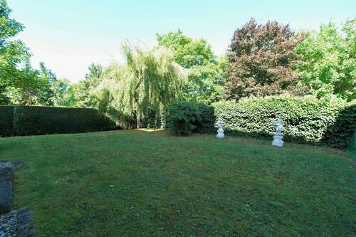 Garten hinter dem Haus - 