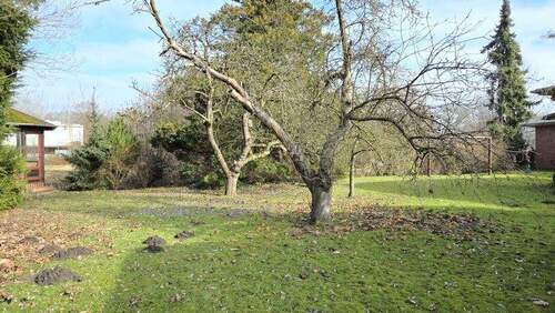 Herrliches Gartengrundstück - 