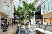 Shopping - 