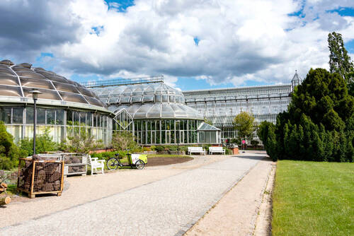 Botanischer Garten - 