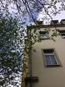 Seitenansicht - 1 Zimmer Etagenwohnung zum Kaufen in Dresden