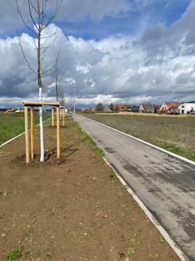 Ansicht 3 - Grundstück zum Kaufen in Altdorf bei Nürnberg