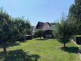 IMG_1298.JPG - 