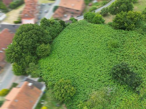 Bild 2 - Grundstück zum Kaufen in Rinteln