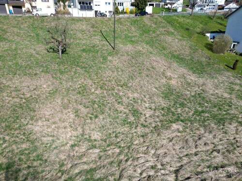 dji fly 20250405 104504 745 1743843079756 photo - 