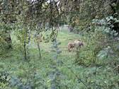 Bild 32 - 