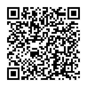 QR-Code - 