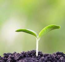 Landwirtschaftliche Fläche - 20.000,00&nbsp;EUR Kaufpreis, ca.&nbsp; 0,00&nbsp;m&sup2; in Tübingen (PLZ: 72074) Lustnau