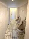 WC Herren - 