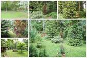mit herrlichen 2.821m² Garten - 