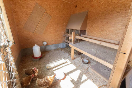 Hühnerstall - 