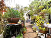 Südwest-Terrasse - 