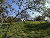 Bild 5 - Einfamilienhaus mit 106,00 m² in Bad Langensalza zum Kaufen