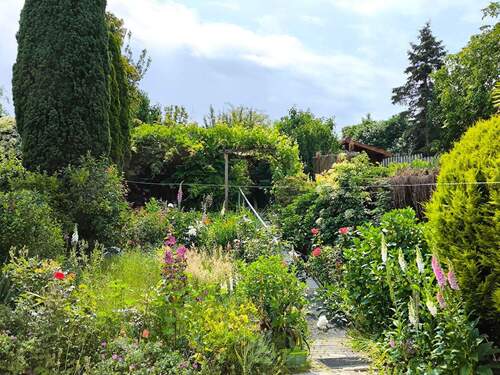 Blick in den Garten - 