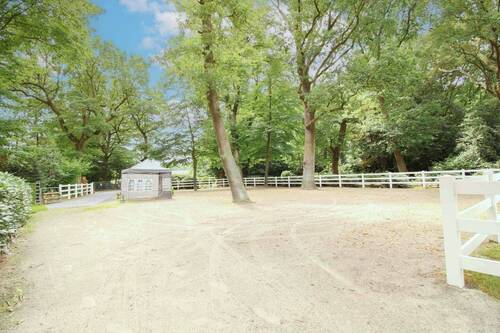 Paddock - 