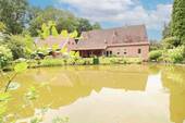 Gartenteich (2) - 