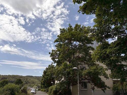 Grüne Umgebung, Wald, zählt schon zum Erzgebirge - 