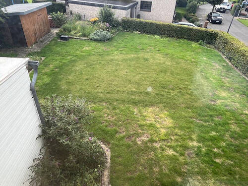 Bild10 - 