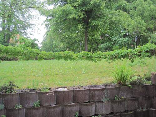 Bild 6931.jpg - 2 Zimmer Terrassenwohnung in Ilmenau