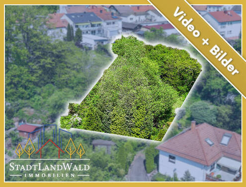 Titelbild_Expose_BP_Lemberg_Schafalm 12 - Viel Platz und Fernblick - Baugrundstück mit Option auf Doppelbauplatz in Lemberg (Pfalz)